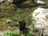 Ki-Shani